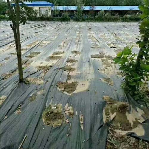 闃茶崏甯?6 闃茶崏甯?6